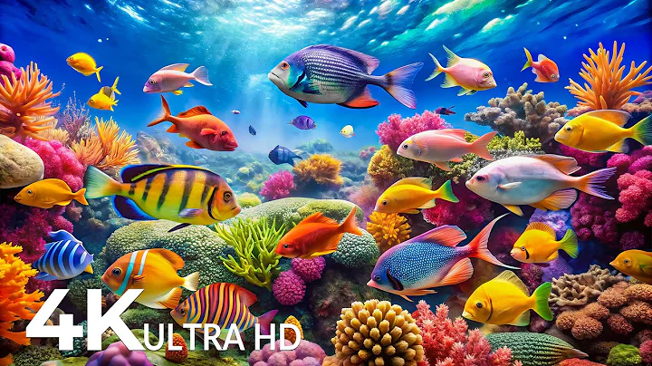 The Best 4K Aquarium - Explore the Underwater World and Beautiful Coral Reef Fish for Deep Sleep #52