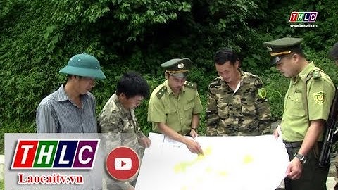 Khu bảo tồn thiên nhiên Hoàng Liên Văn Bàn tăng cường quản lý bảo vệ rừng | THLC