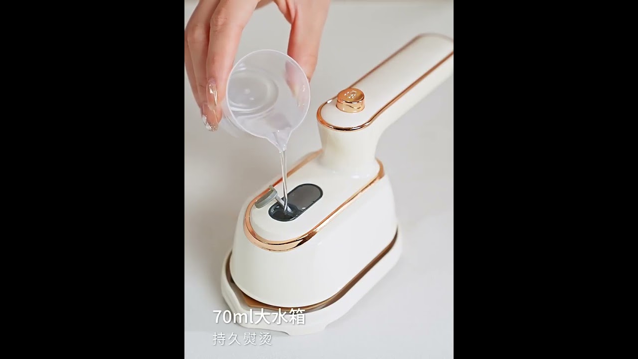Handheld Steam Iron   