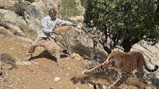 Morteza in the heart of nature 🔥 Gathering firewood to survive the night among wild animals 🐺 Update