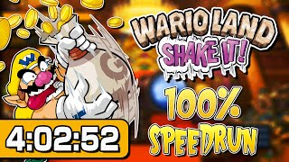 Wario Land: Shake It! 100% Speedrun World Record - 4:02:52