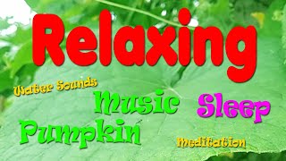Relaxing Music with the best pumpkin landscape, Meditation Music, heartbreak, Deep sleep screenshot 1