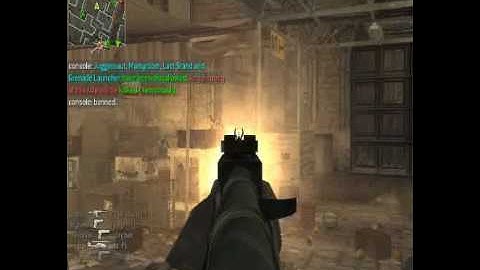 Call of Duty 4 (ZD Soft Game Recorder Test)
