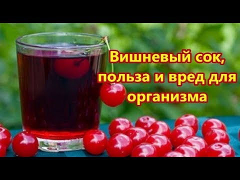 Вишневый сок, польза и вред вишни для организма