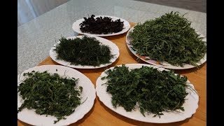СУШКА ЗЕЛЕНИ БЫСТРО И ЛЕГКО за 4 минуты  //DRYING GREENS QUICKLY AND EASILY in 4 minutes//