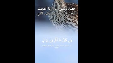 سورة إبراهيم.فارس عباد(1)