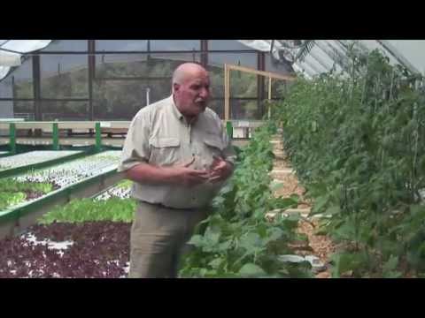 Murray Hallams Practical Aquaponics - YouTube.flv | Doovi