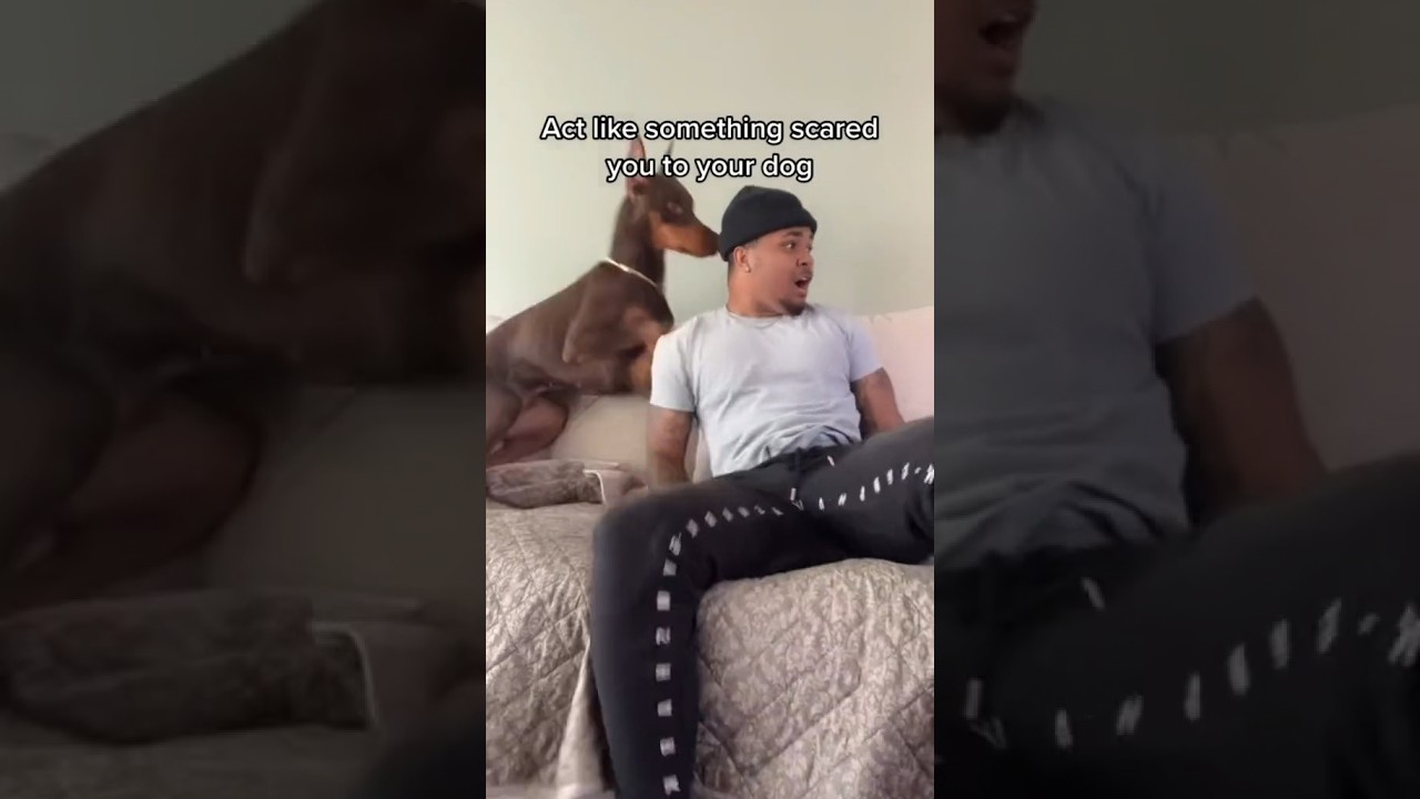 Challenge: Act Scared in Front of Your Dog 🐶 