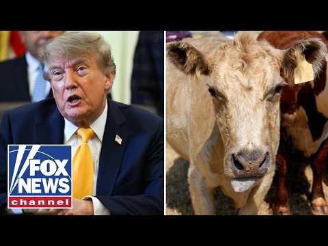 ‘TAKING ACTION’: Labor chief breaks down Trump’s push to help ranchers, farmers