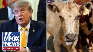 BUTCHERING BUREAUCRACY: Trump signs executive order to help ranchers, farmers