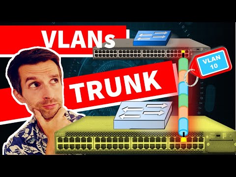 Video: ¿Qué se entiende por VLAN etiquetada y no etiquetada?