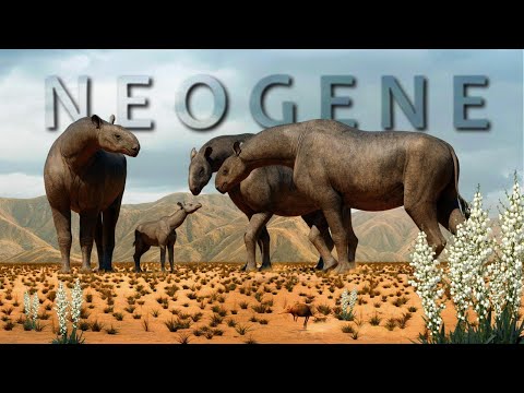Neogene, Animals continue to evolve as the climate change