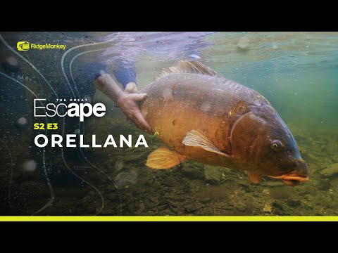 THE GREAT ESCAPE | S2 E3 | Orellana