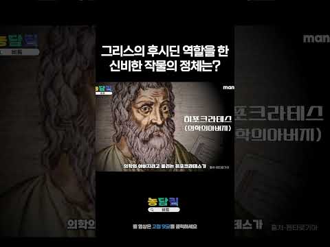 그리스의 후후~ <strong>후시딘</strong>? #shorts