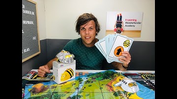 Hoe zet je de Bee Bot wel goed in? Programmeren in de kleuterklas