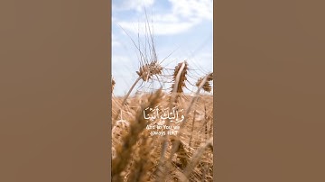 ربنا عليك توكلنا| سورة الممتحنة| القارئ رعد الكردي| #love
