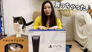 PS5がやってきた!【親子猫】