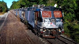 Graffiti-covered NJ Transit trains are slowly rusting in the woods