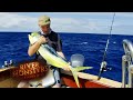 Catching A RARE Mahi Mahi Dolphin Fish | MAHI MAHI | River Monsters