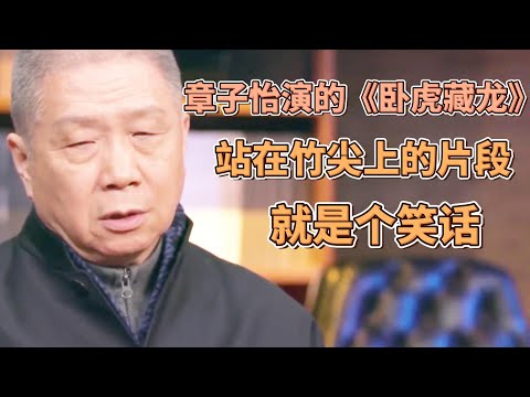 章子怡演的《臥虎藏龍》，站在竹子尖上的片段就是一個笑話 #圓桌派#窦文涛#观复嘟嘟#马未都