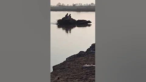 River crossing - DayDayNews