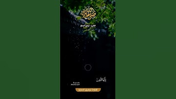 آية الصلاة على النبي ¦¦ القارئ:- #توفيق_الصايغ #حالات #ستوري #سناب