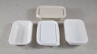 Biodegradable Sugarcane Bagasse Pulp Takeaway Food Container Lunch Box
