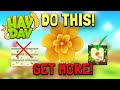 BEST Ways to Get MORE Yellow Flowers Hay Day