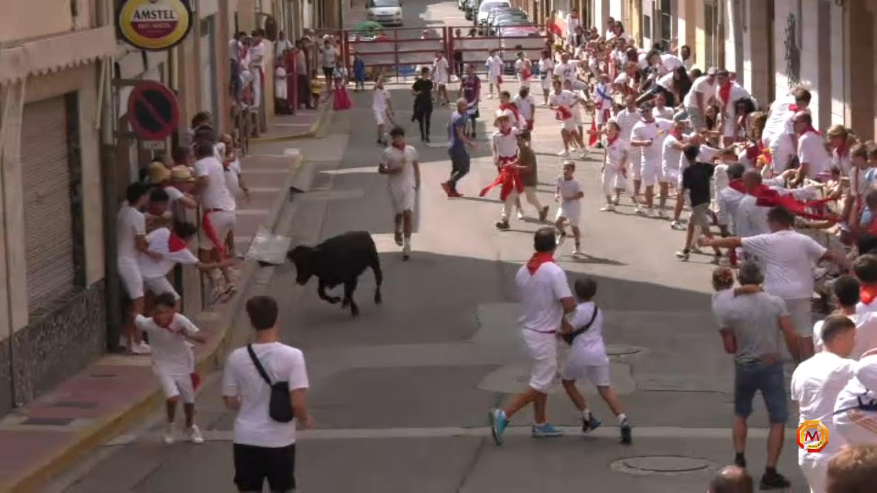 Tv Azagra - 12/09/2023 - Fiestas - Encierro Infantil.