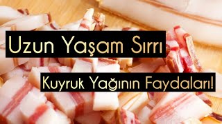Canan Karatay’ın Uzun Yaşam Sırrı: Kuyruk Yağının Faydaları