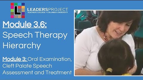 Module 3.6- Cleft Palate Speech and Feeding Video Tutorials: Cleft Palate Speech Therapy Hierarchy