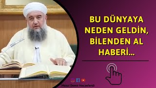 Bu Dünyaya Neden Geldin, Bilenden Al Haberi...