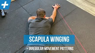 Exercises for Scapula Winging and Irregular Shoulder Movement - Pt. 2 | Tim Keeley | Physio REHAB