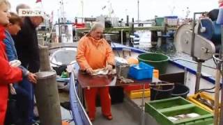 Island Life 05 - Fehmarn | euromaxx