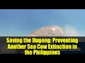 Saving the Dugong: Preventing Another Sea Cow Extinction in the Philippines