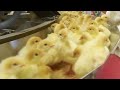A Nightmare for Baby Birds at Foster Farms - investigation video