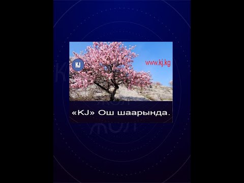 Video: Төртүнчүлүк мезгилдин чөкмөлөрү деген эмне?