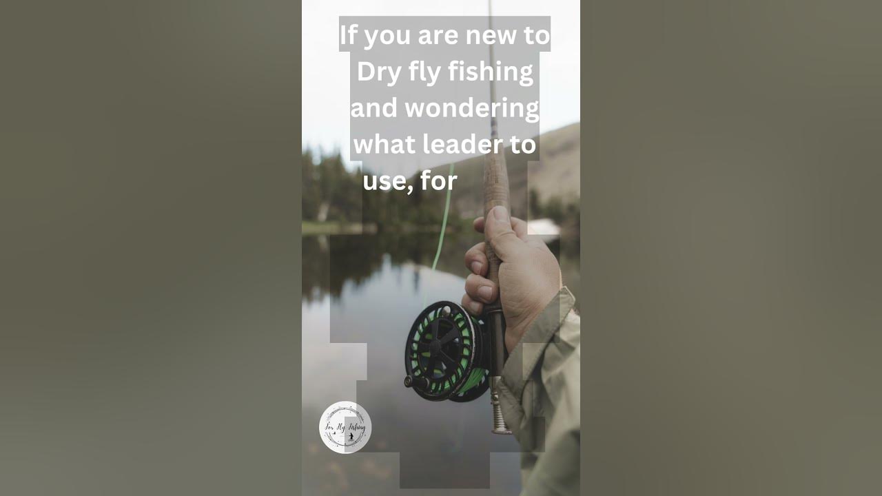Choosing a Dry Fly Leader, Where to Start YouTube