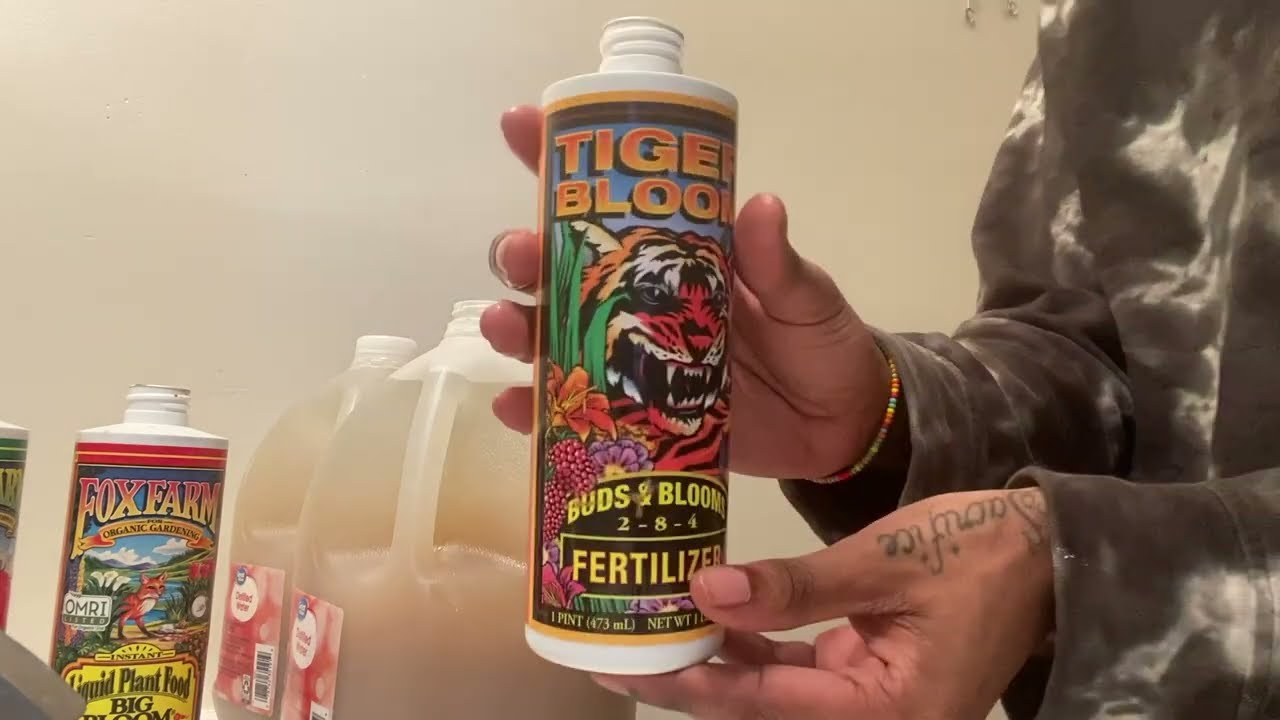 Easiest Way On How To Feed Cannabis Plants Using Fox Farm Nutrients