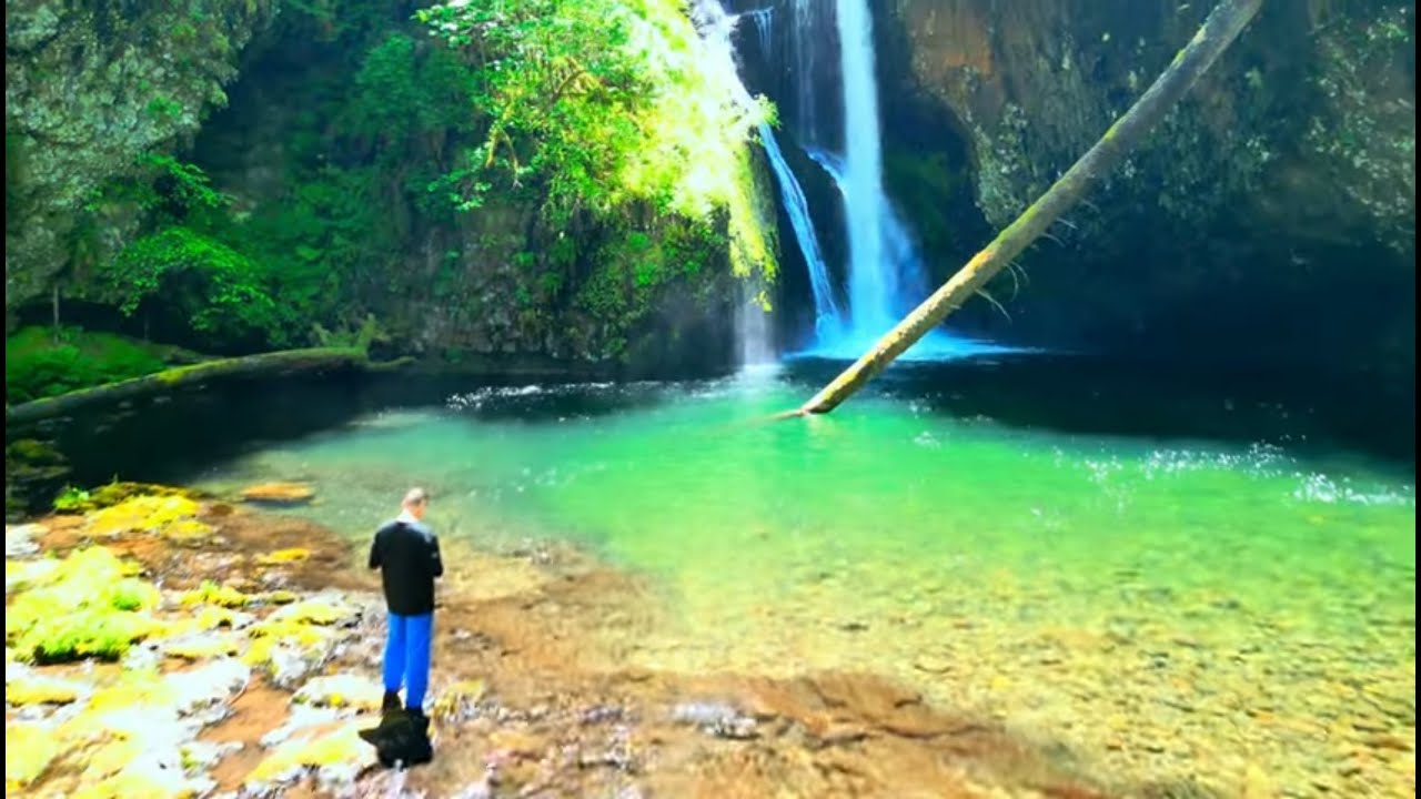 Best short waterfall hike in Oregon?  Butte Creek Falls trail 2024 OPENING