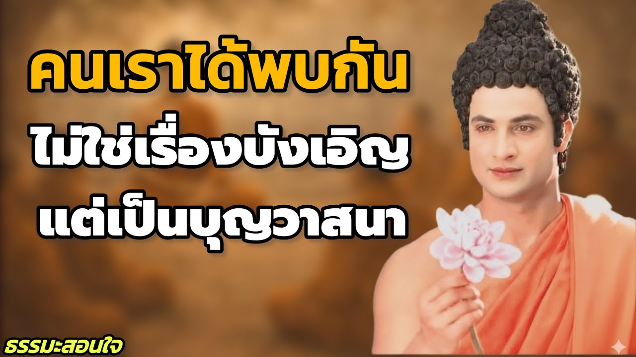 คนเราได้พบกัน ไม่ใช่เรื่องบังเอิญ แต่เป็นบุญวาสนา |คำสอนของพระพุทธเจ้า|#ฟังธรรมก่อนนอน |#ธรรมะสอนใจ 