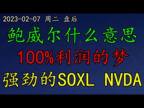 重磅！鲍威尔什么意思？100%利润的梦要实现了！强劲的SOXL、NVDA！木头姐估计在偷着庆祝呢。