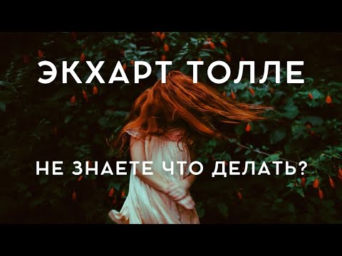 Экхарт Толле - КОГДА НЕ ЗНАЕТЕ ЧТО ДЕЛАТЬ [Лекции 08] Nikosho