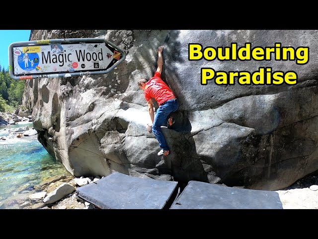 Outdoor bouldering in the paradise Magic Wood - Grit De Luxe - A Magic Wood Classic!