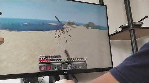 Safeway playing Minecraft 3