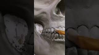 sculpt, mould and cast of a human skull - clay sculpting time-lapse