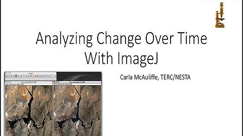 Out2Lunch: ImageJ -  Image processing and Analysis in Java