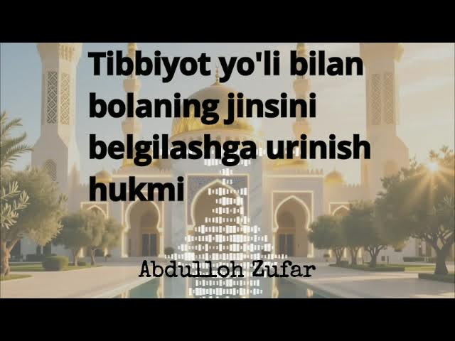 Sochli katta mushuklar fotosuratlari