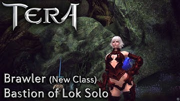 TERA KR | Brawler (New Class) | Bastion of Lok Solo