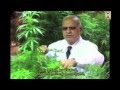 Capture de la vidéo Dj Cam's Mad Blunted Jazz X Marijuana Documentary Intro - The Marijuana Documusical - Chapter 1